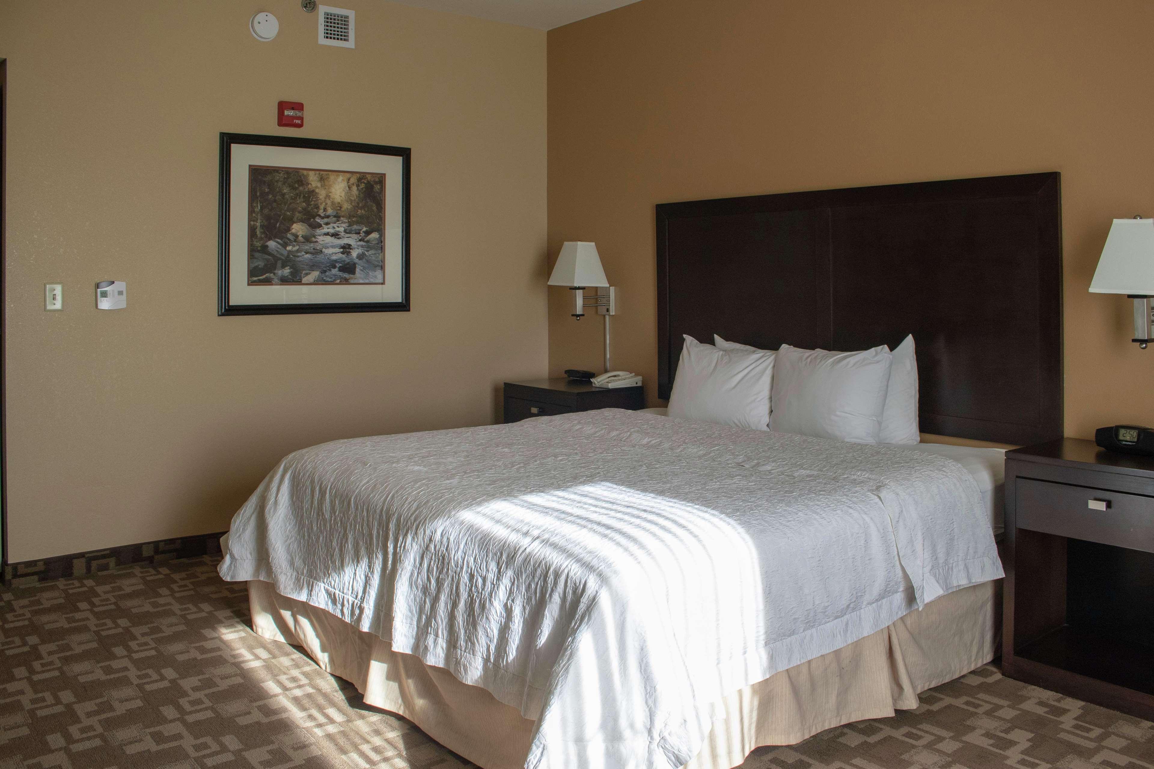 Hampton & Suites-knoxville/north I-75 Knoxville